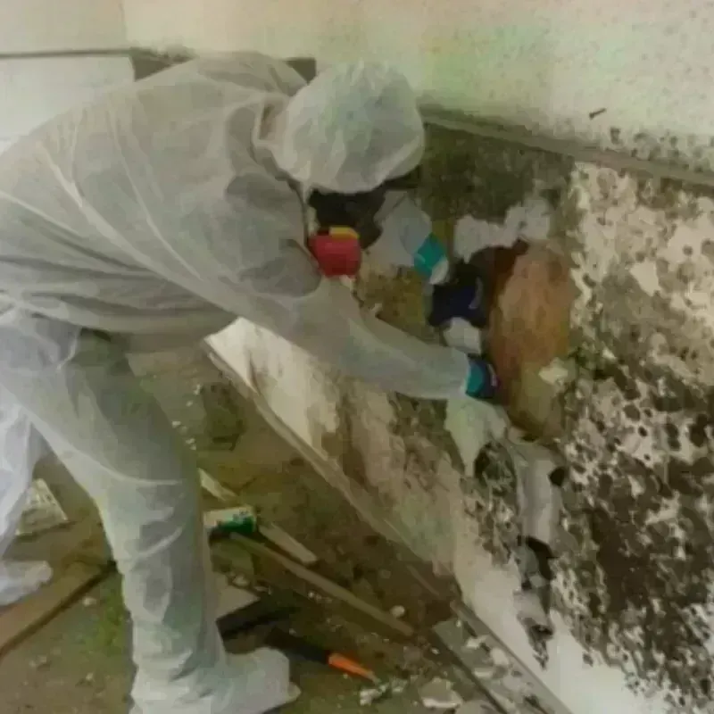 Mold Remediation and Removal in Muskogee County, OK